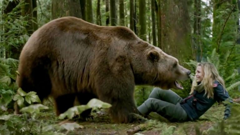 INTO THE GRIZZLY MAZE (2015)