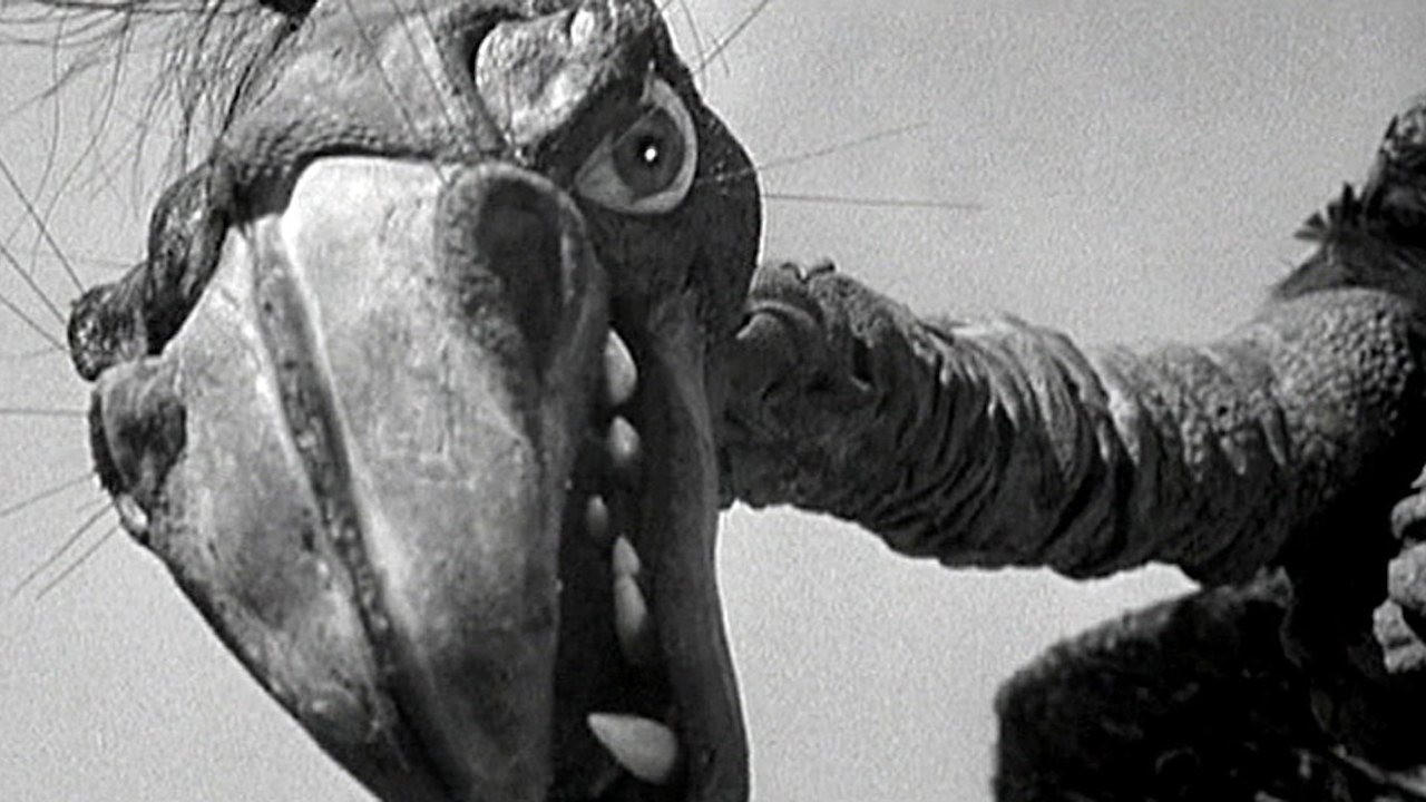This is a film still from THE GIANT CLAW dir Fred F. Sears, 1957