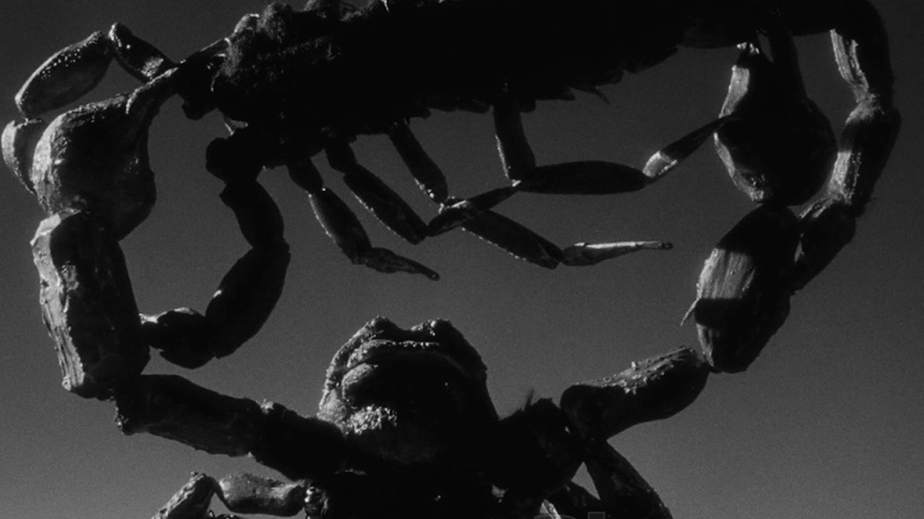 This is a film still from THE BLACK SCORPION (1957).