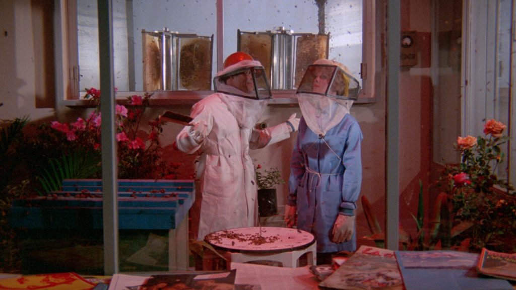This is a film still from THE BEES dir Alfredo Zacarías (1978), showing two scientists in a laboratory wearing bee-keeping protective gear and surrounded by killer bees.