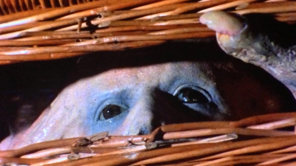 This is a film still from BASKET CASE (1982) showing a picnic basket that contains a monster peering out.