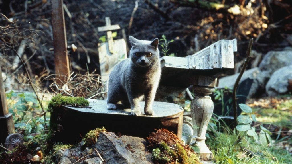 This is a film still from PET SEMATARY (1989) part of PET SEMATARY 1 + 2 at Beer Merchants Tap (22 June 2025).