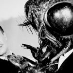 This is a black and white promotional photograph from THE FLY (1958) showing film actor Vincent Price wearing a formal suit being threatened by a man with the head of a fly. Showing in the Members' Bar at Finsbury Park Picturehouse as part of WE ARE TRASH! (Sun 18 May 2025).