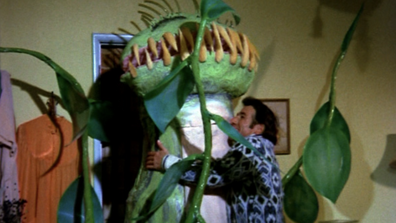 PLEASE DON’T EAT MY MOTHER (1973) at The Nickel (Sat 22 November 2025)