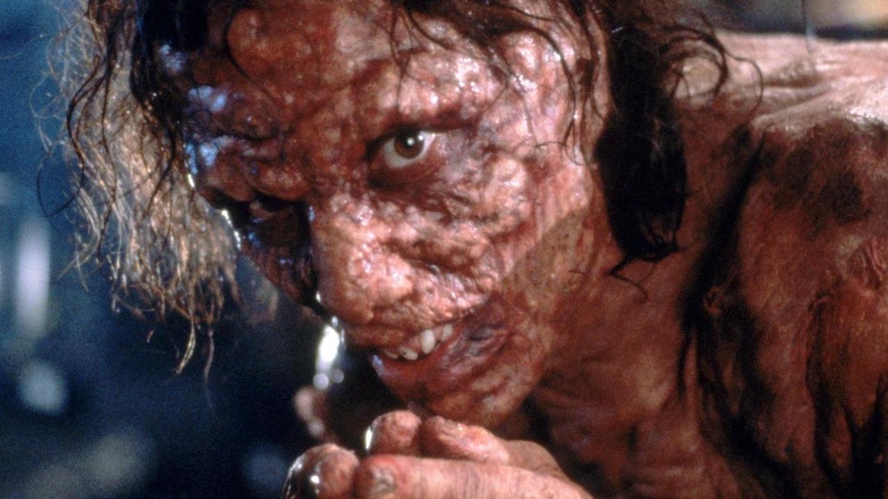 SYNTHETIC FLESH! – WAD Fundraiser / Double Feature: THE FLY + THE FLY 2 at Beer Merchants Tap (Sat 15 November 2025)