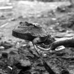 This is a film still from DAWSON CITY - FROZEN TIME dir Bill Morrison (2016), part of SCREAM FOR YOUR LIVES! at Finsbury Park Picturehouse (22 July 2026).