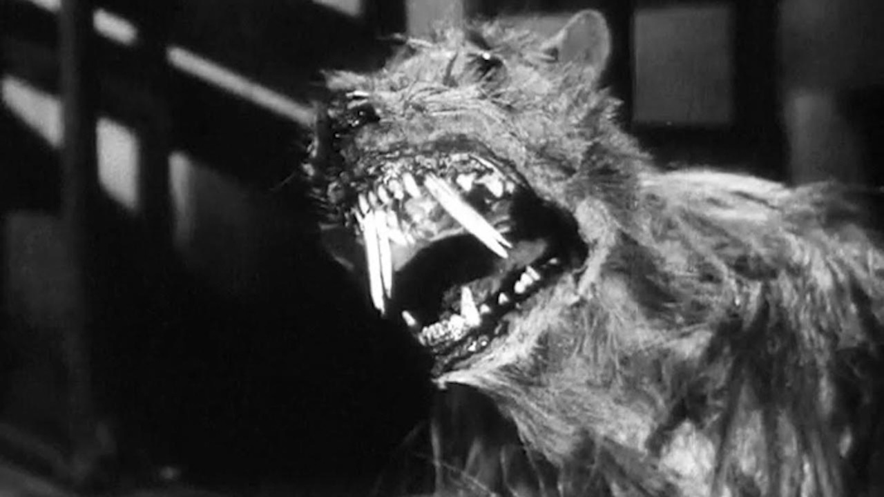 TRASH PLANET 3: APOCALYPSE! – Creature / Double Feature: THE KILLER SHREWS + THE GIANT GILA MONSTER (1959) at Finsbury Park Picturehouse (Weds 11 November 2026)